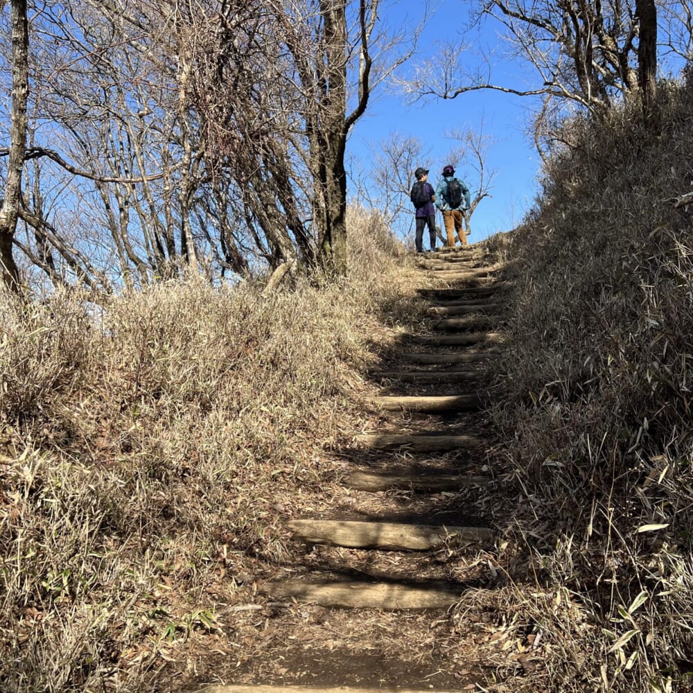 神奈川県　伊勢原市　大山　阿夫利神社　秦野市　ヤビツ峠