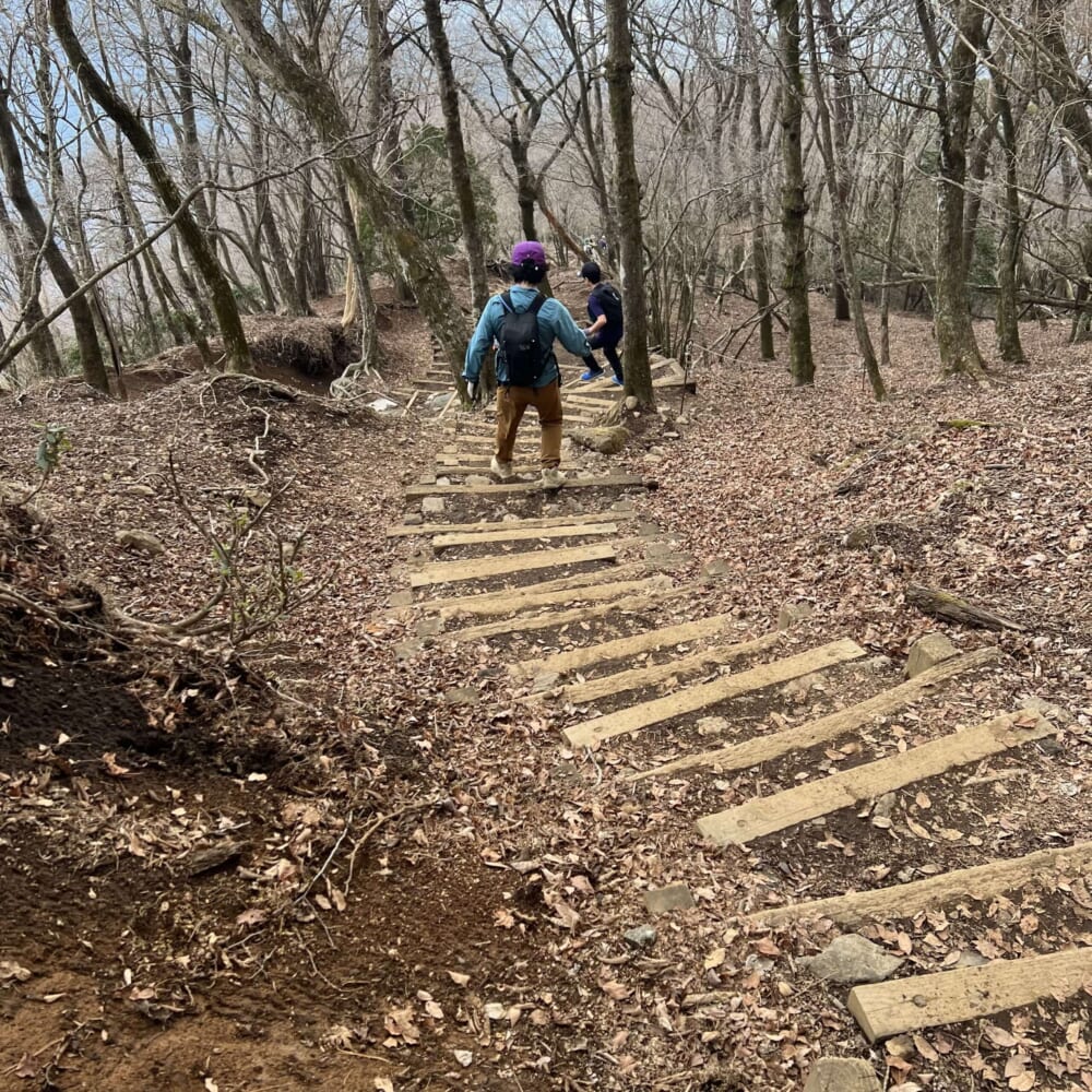 神奈川県　伊勢原市　大山　阿夫利神社