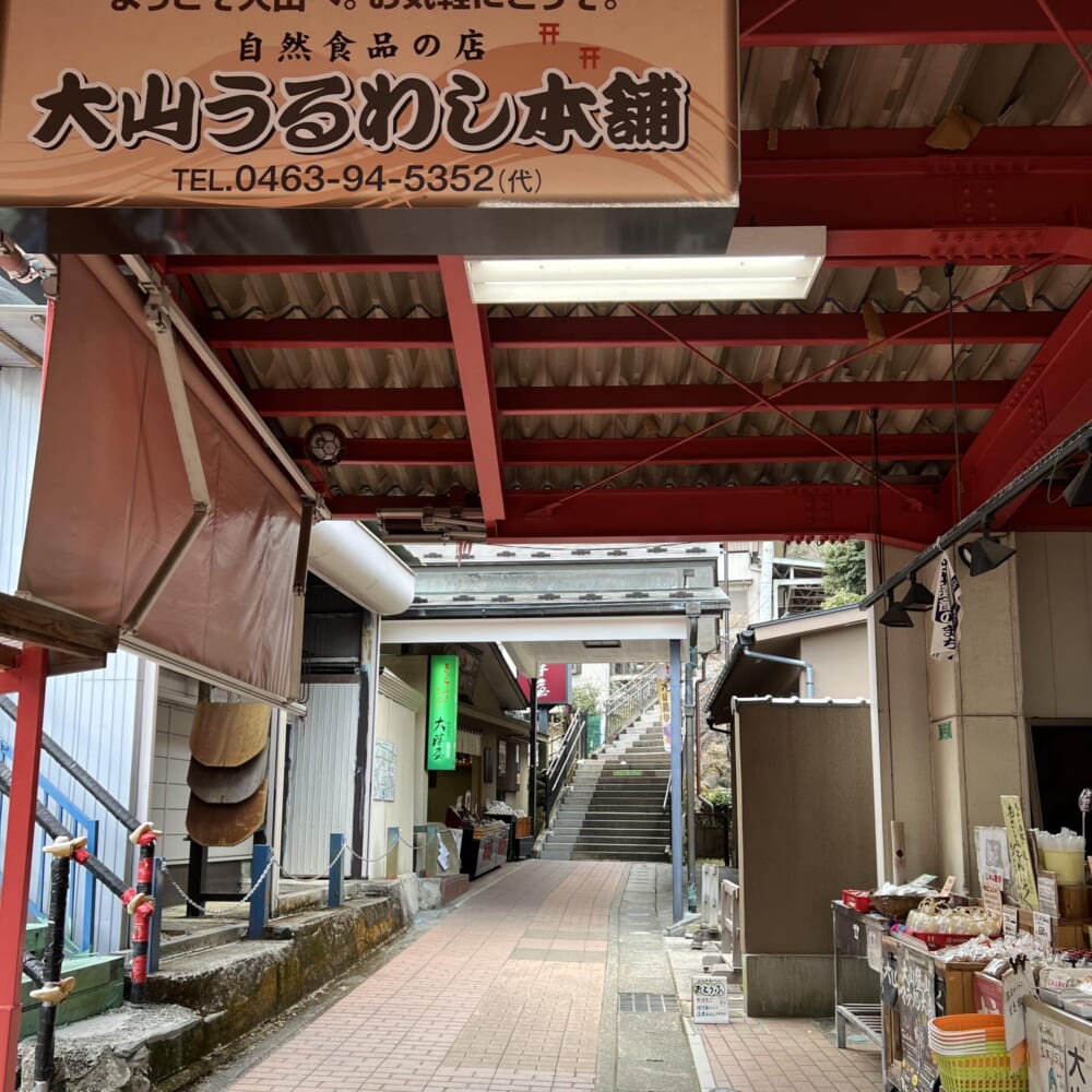 神奈川県　伊勢原市　大山　阿夫利神社 こま参道
