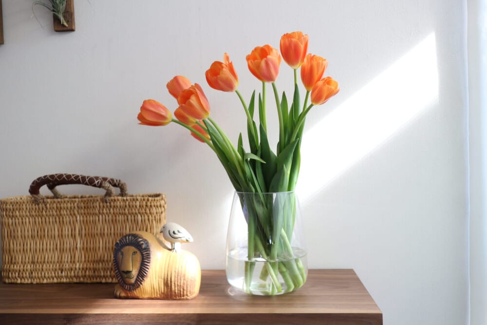 花　チューリップ