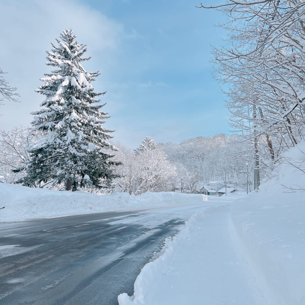 ニセコ 雪