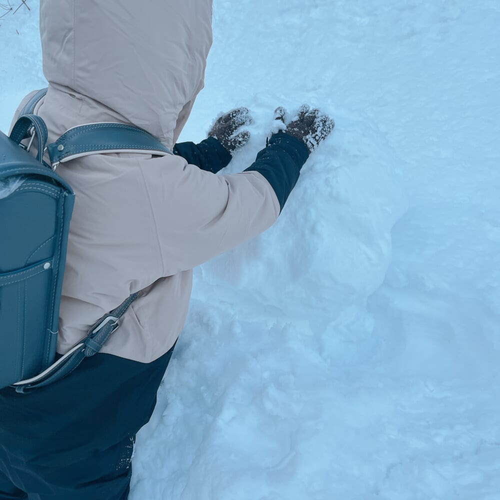ニセコ町 雪 小学生