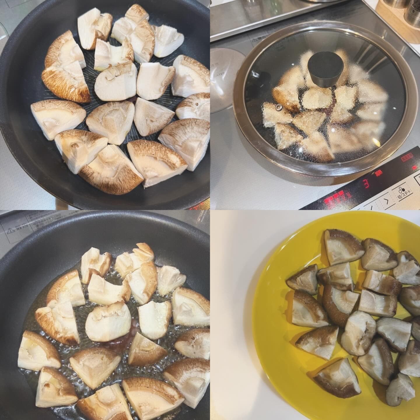 白神山地 秋田県 峰玉