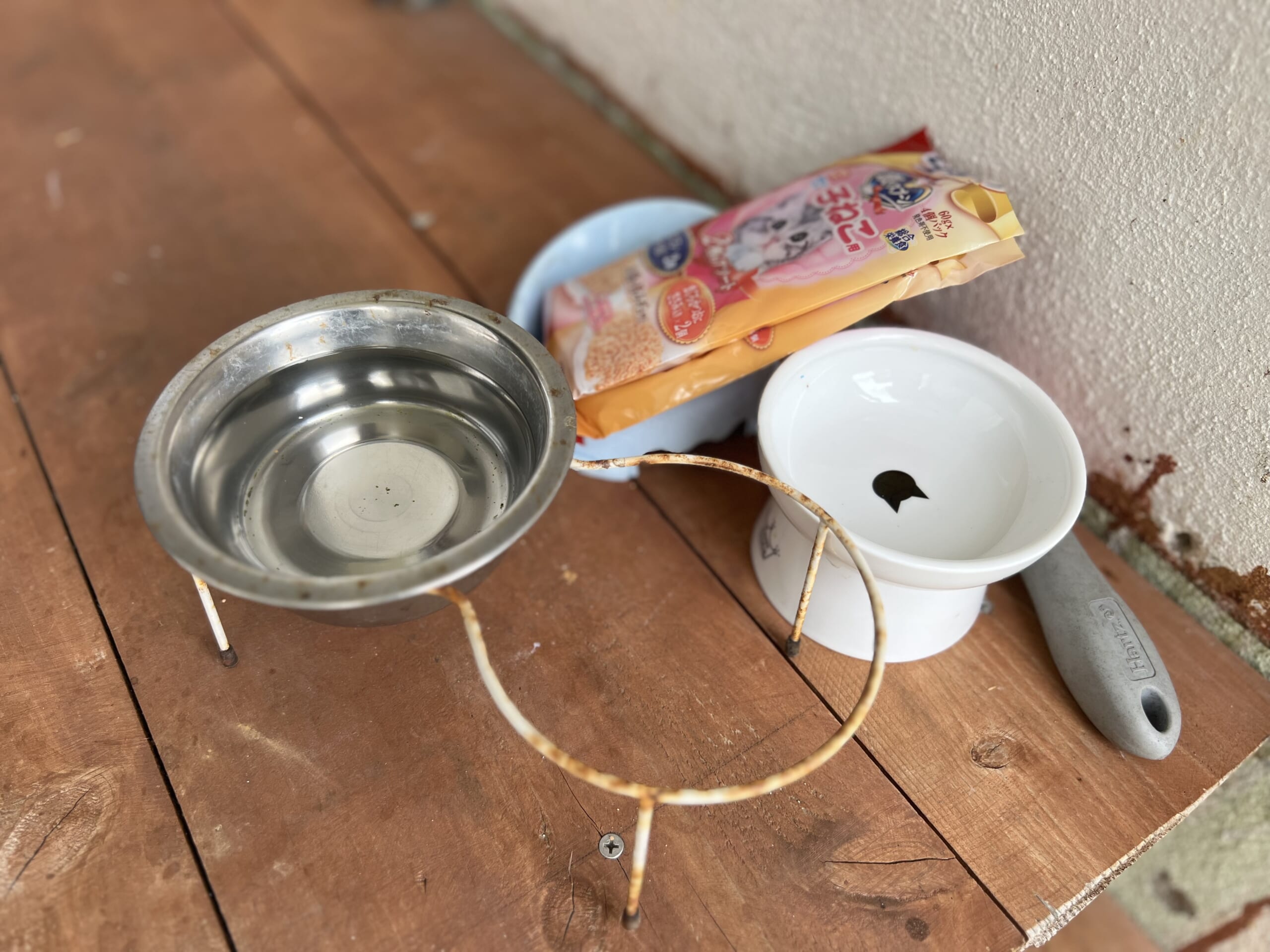 【最近の暮らし】古いレコード、手土産クッキー、猫との別れ TB icoco