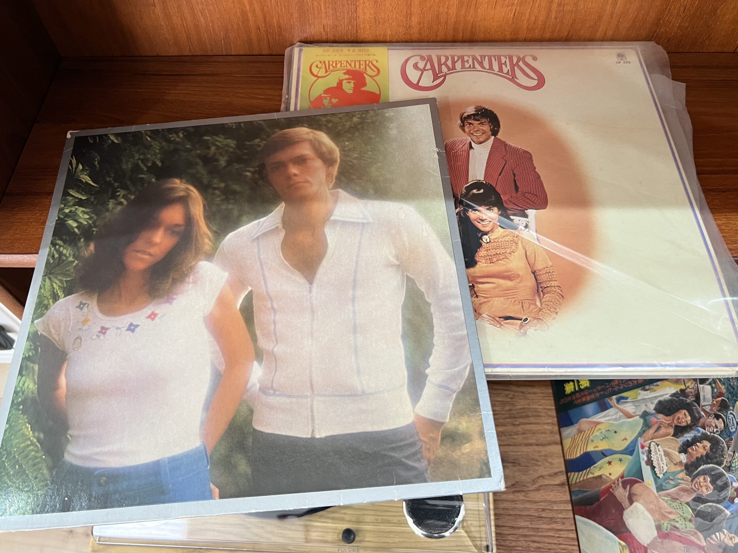 【最近の暮らし】古いレコード、手土産クッキー、猫との別れ TB icoco