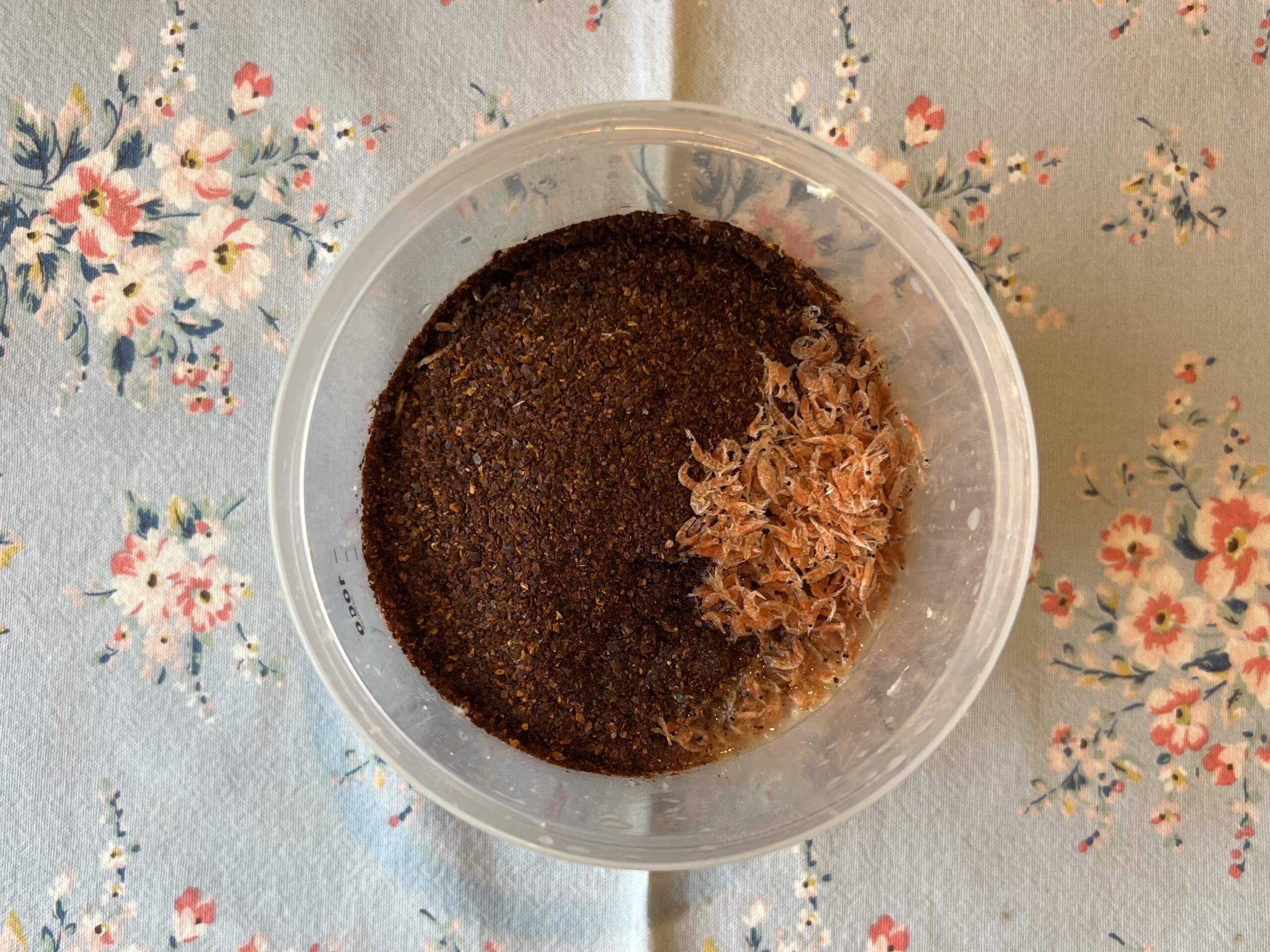 【発酵生活】はじめてのキムチ麹づくり TB icoco