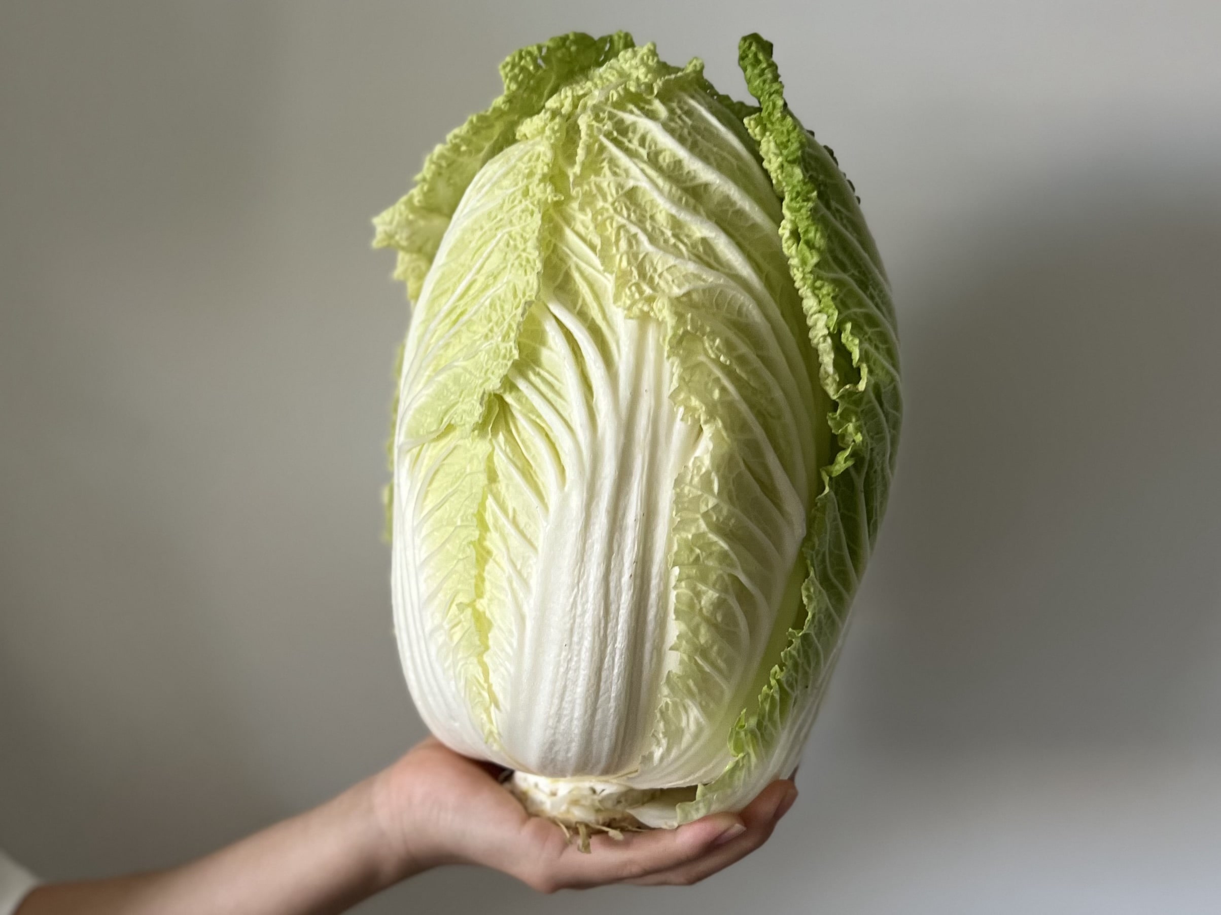 【手作りキムチ麹】さっそくキムチ料理に使ってみました(料理編)TB icoco