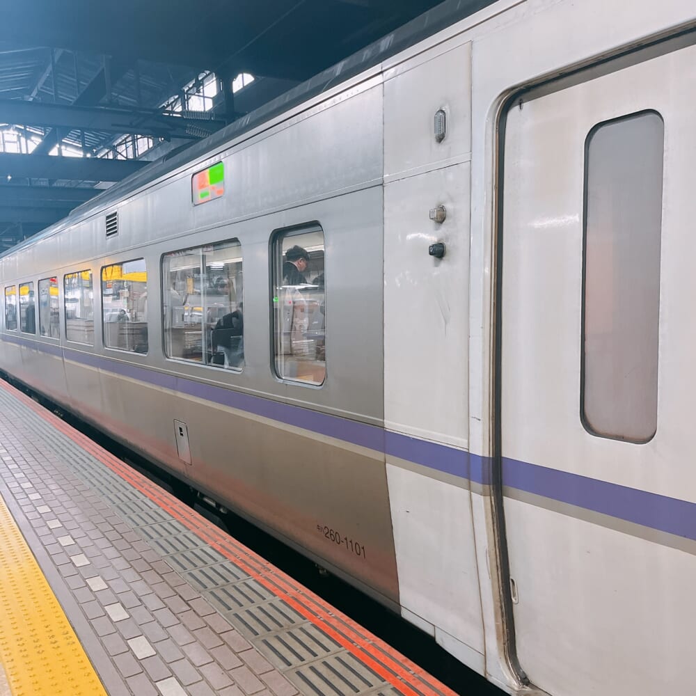 北海道 駅ホーム 電車