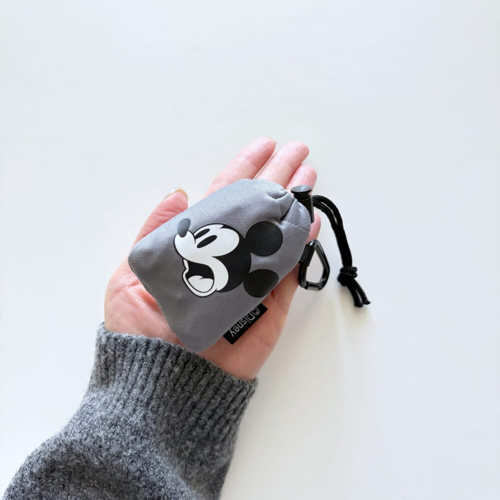 エコバッグ　ディズニー　standardproducts