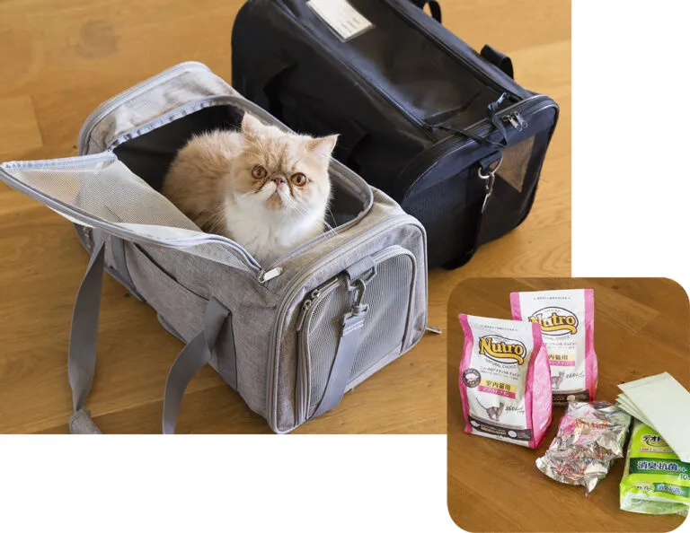 OURHOME Emiさん　ペットの防災