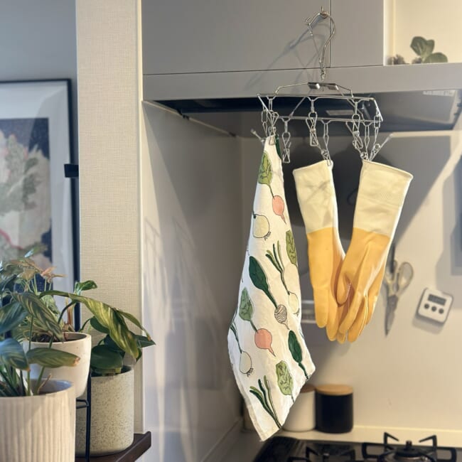 3COINSの「ステンレス8ピンチ」