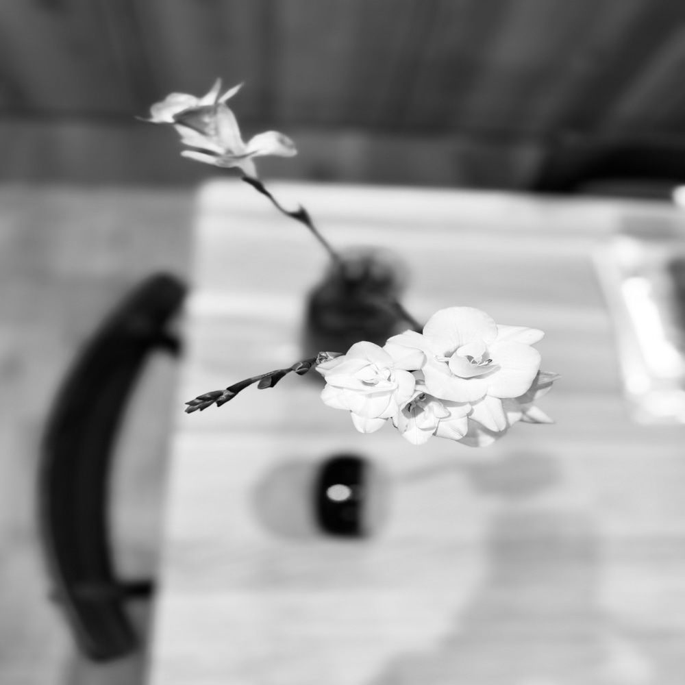 3.11　東日本大震災　震災