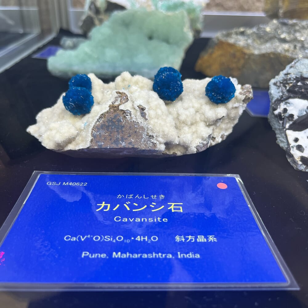 筑波 地質標本館 石