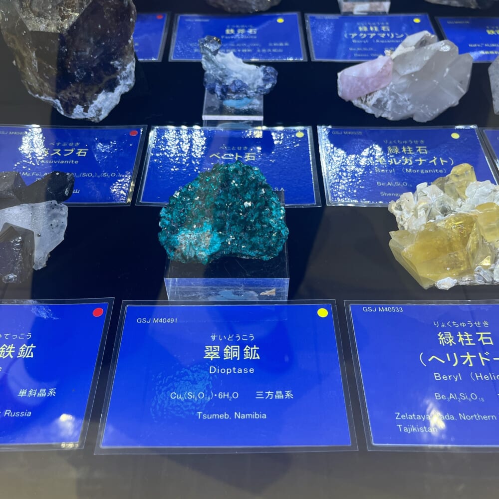 筑波 地質標本館 石