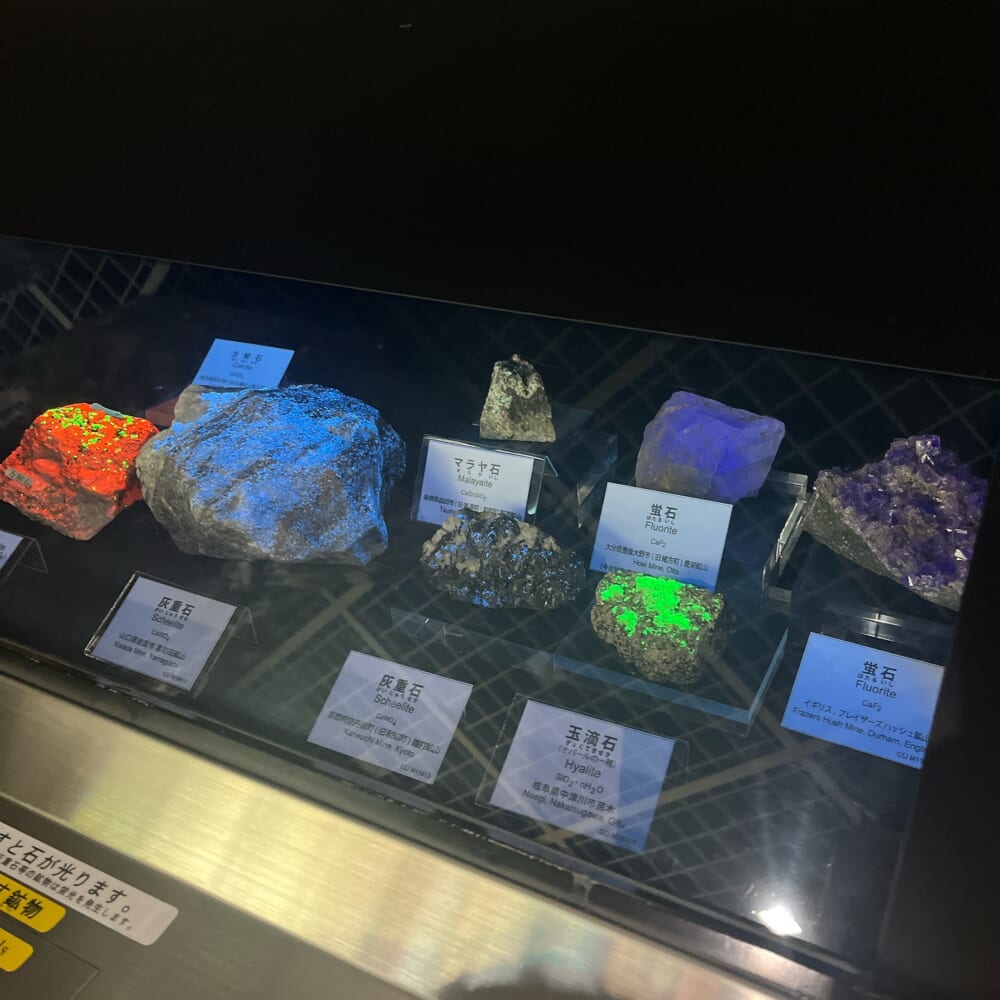 筑波 地質標本館 石