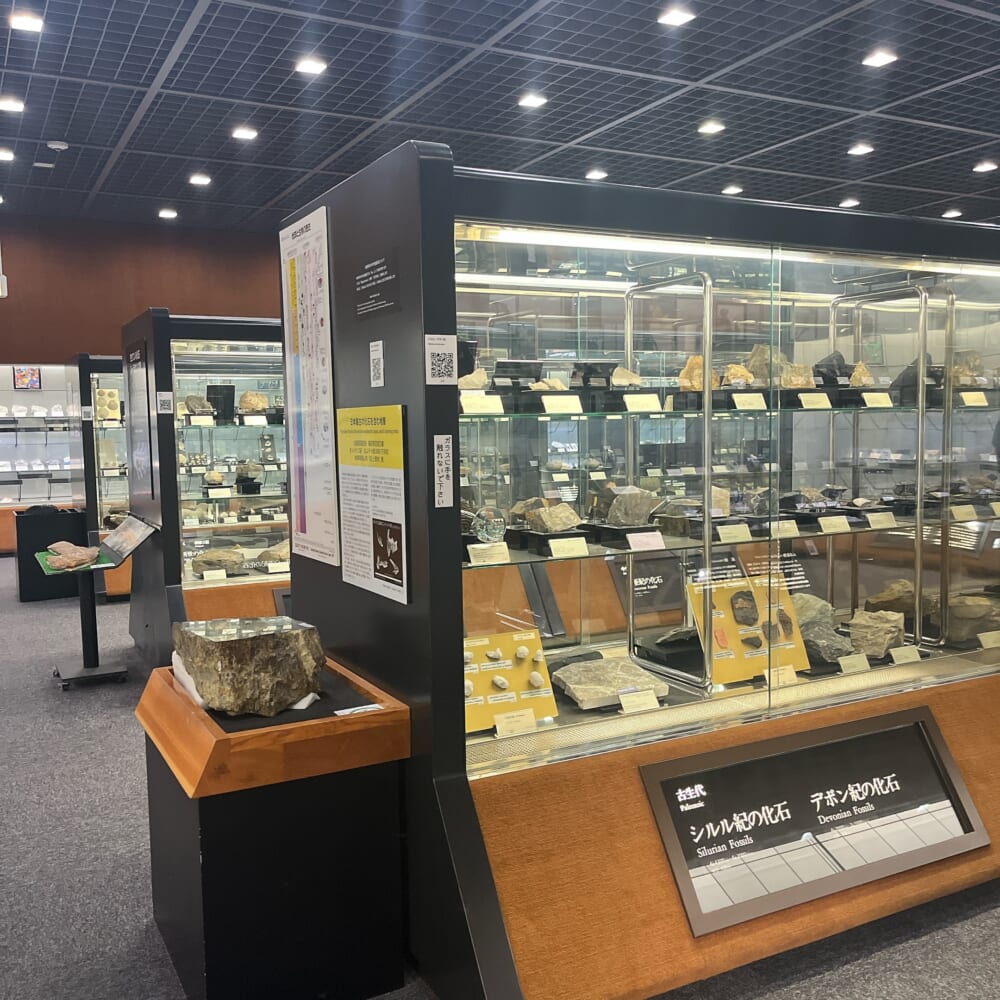 筑波 地質標本館 化石