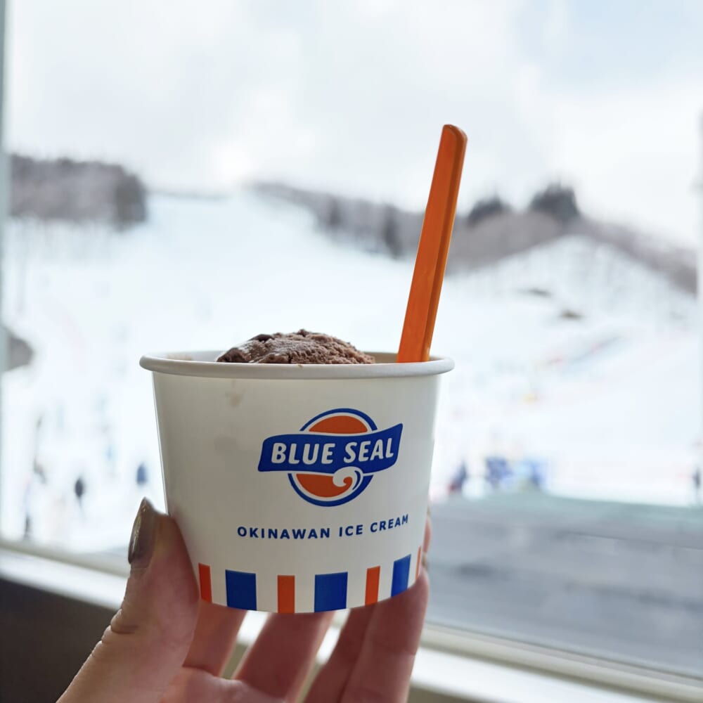 GALA湯沢　日帰りスキー　グルメ