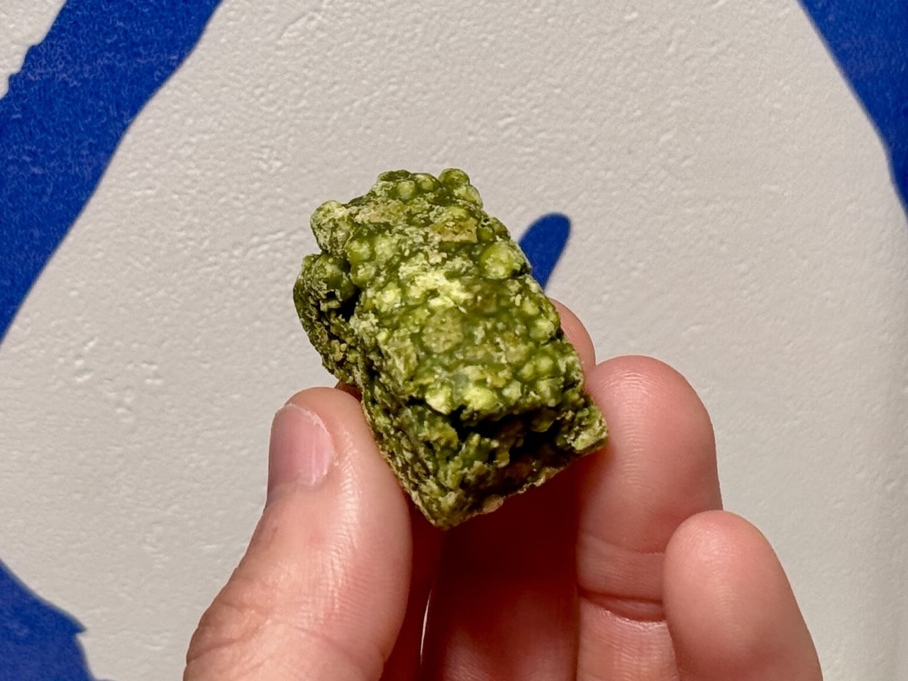 【本家西尾八ツ橋】チョコレート八ッ橋 抹茶中身