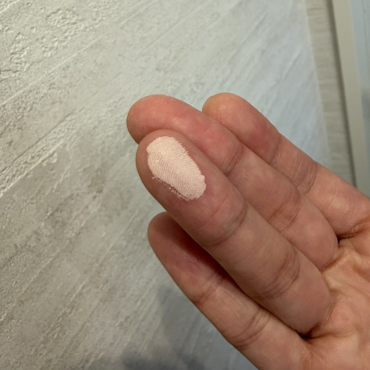 セザンヌ
ハイライト