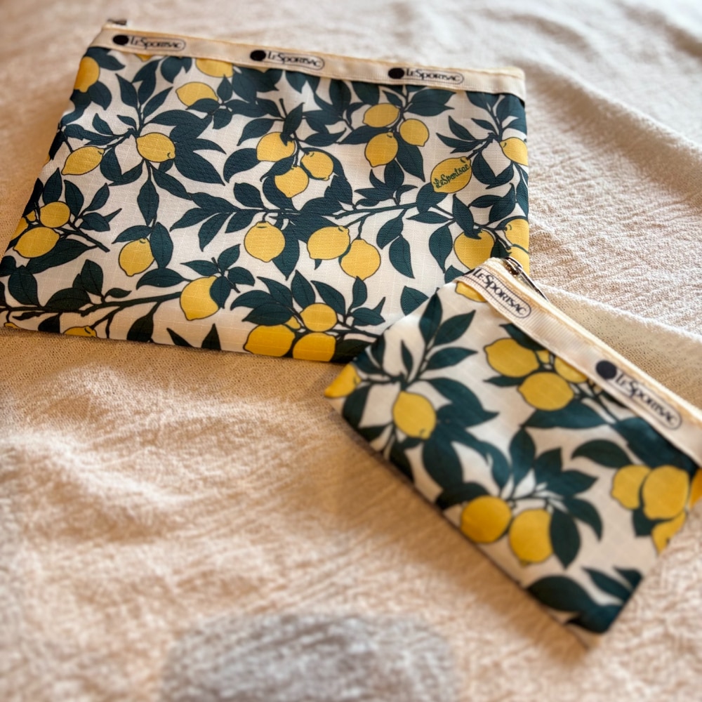 LEE 2026年　4月　集英社　レスポートサック