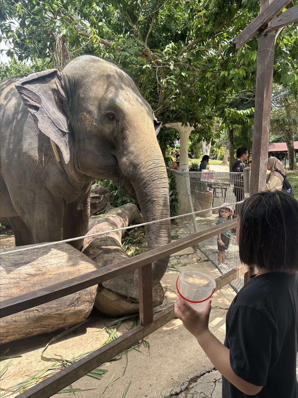 アファモサ・サファリ・ワンダーランドの写真 優木まおみさん