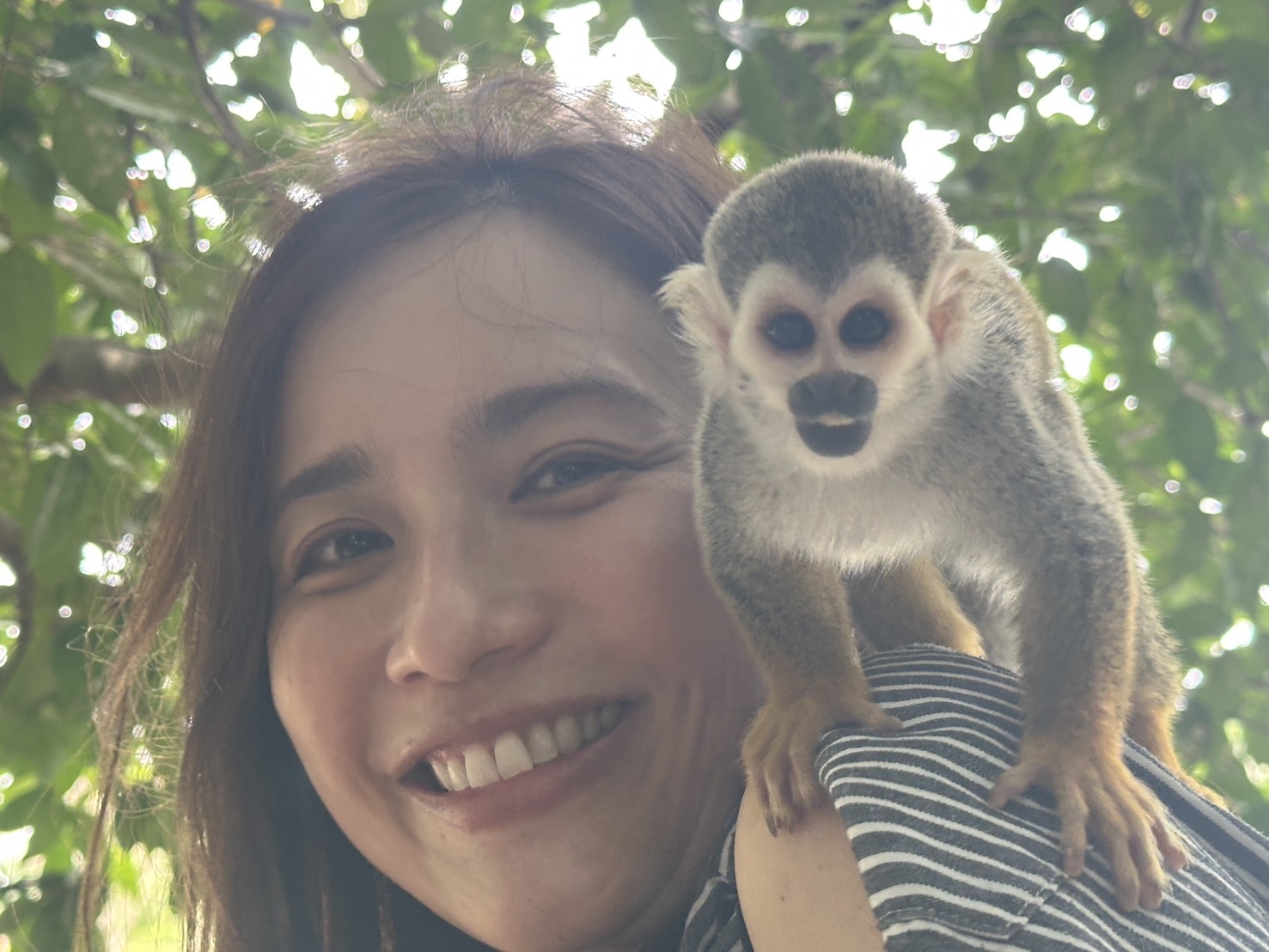 アファモサ・サファリ・ワンダーランドのリスざると優木まおみさん