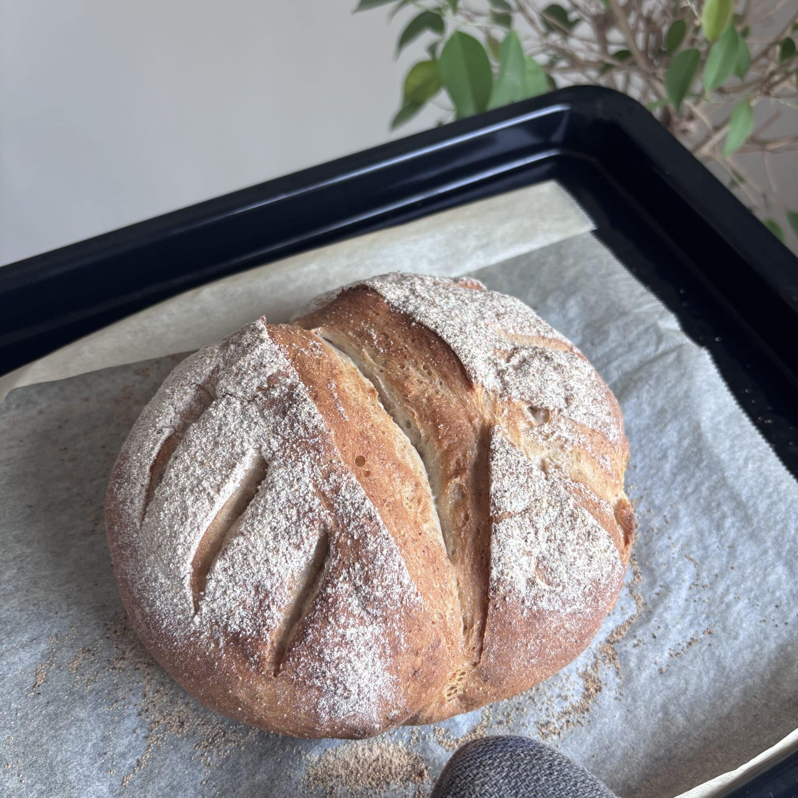 全粒粉カンパーニュ