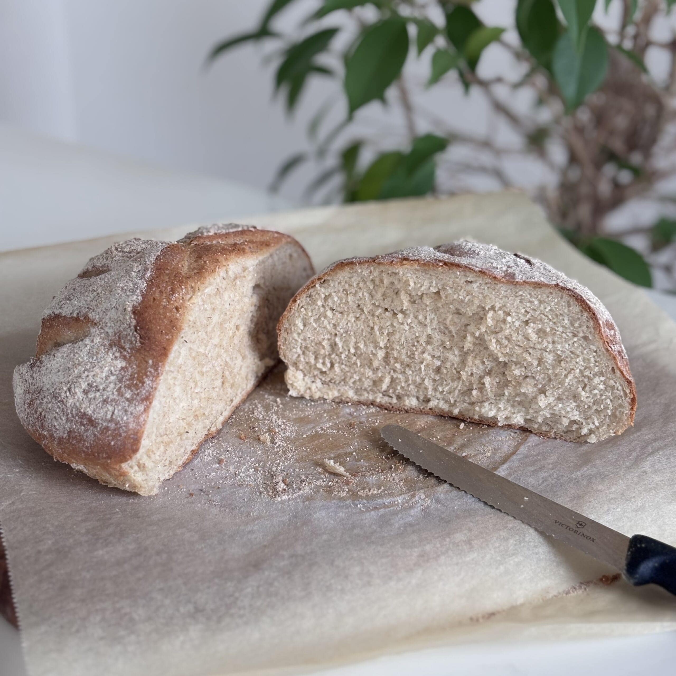 全粒粉カンパーニュ