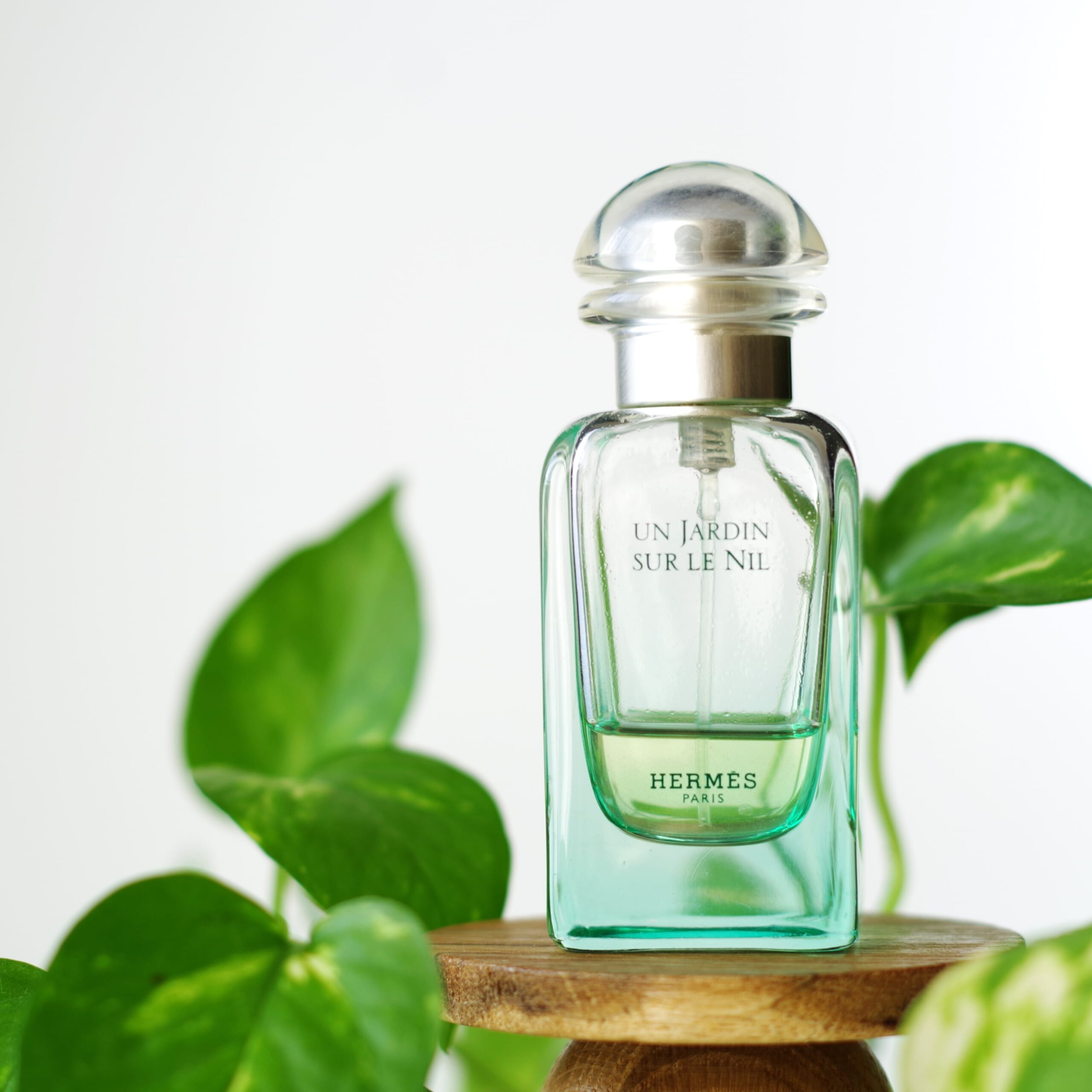 HERMÈS UN JARDIN SUR LE NIL 　