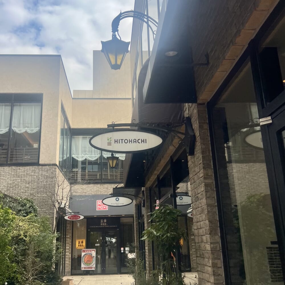 観葉植物 HiTOHACHI