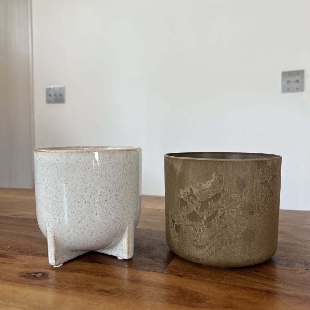 鉢植え 観葉植物