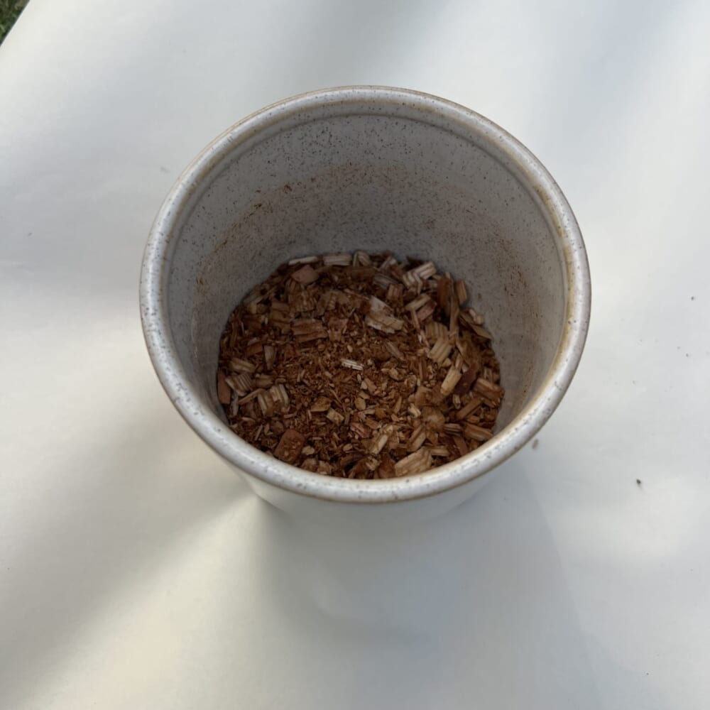 スギベース 観葉植物 植え替え