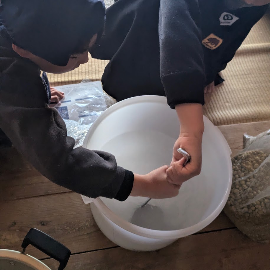 塩、水、醤油麹 コポ