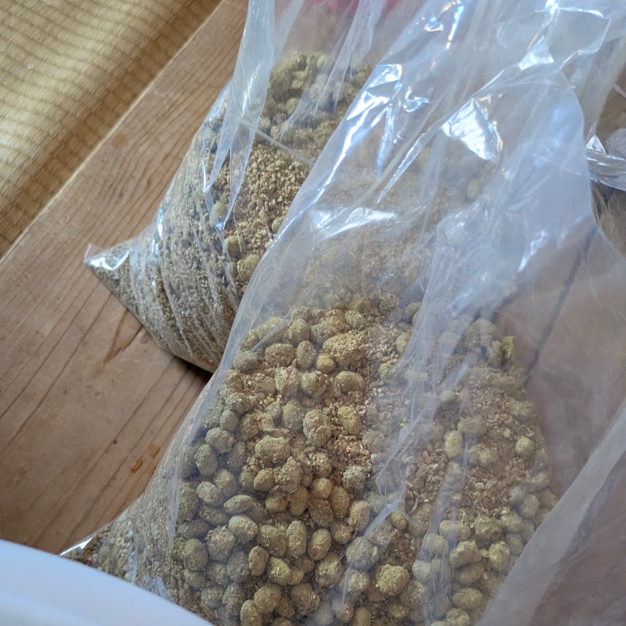 醤油麹 みやもと麹店 LEE100人隊コポ