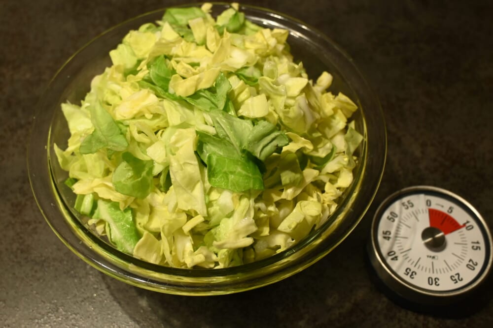 長谷川あかり　LEEレシピ　キャベツ　大葉3