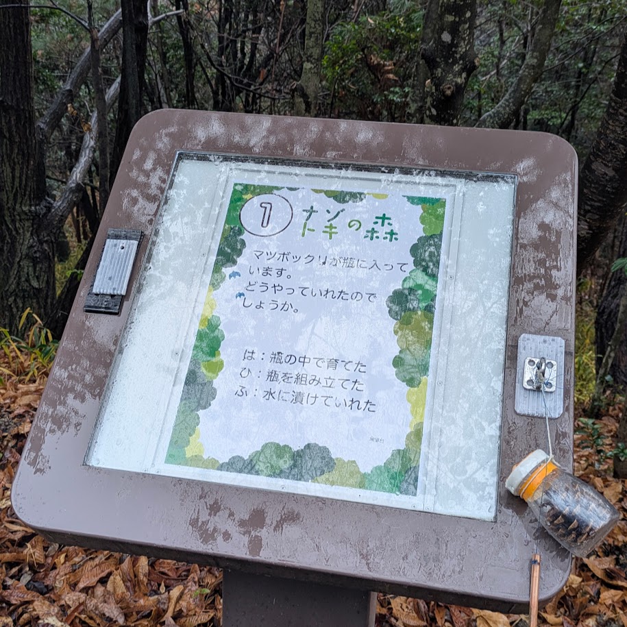 モリコロパーク 謎解きの森 LEE100人隊コポ