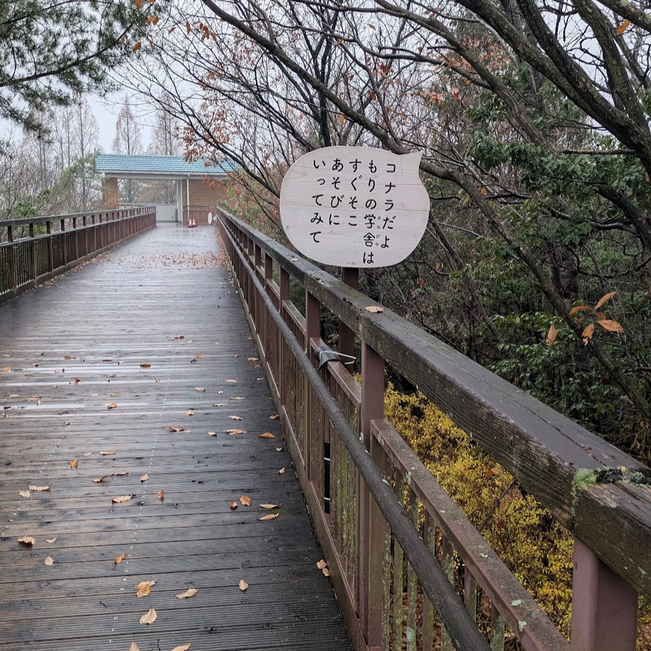 森の学舎 山道 秋