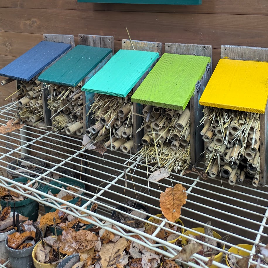 森の学舎 モリコロパーク 虫の家