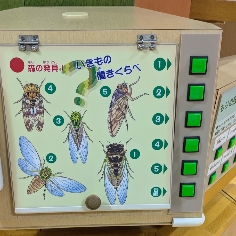 モリコロパーク LEE100人隊コポ 森の学舎