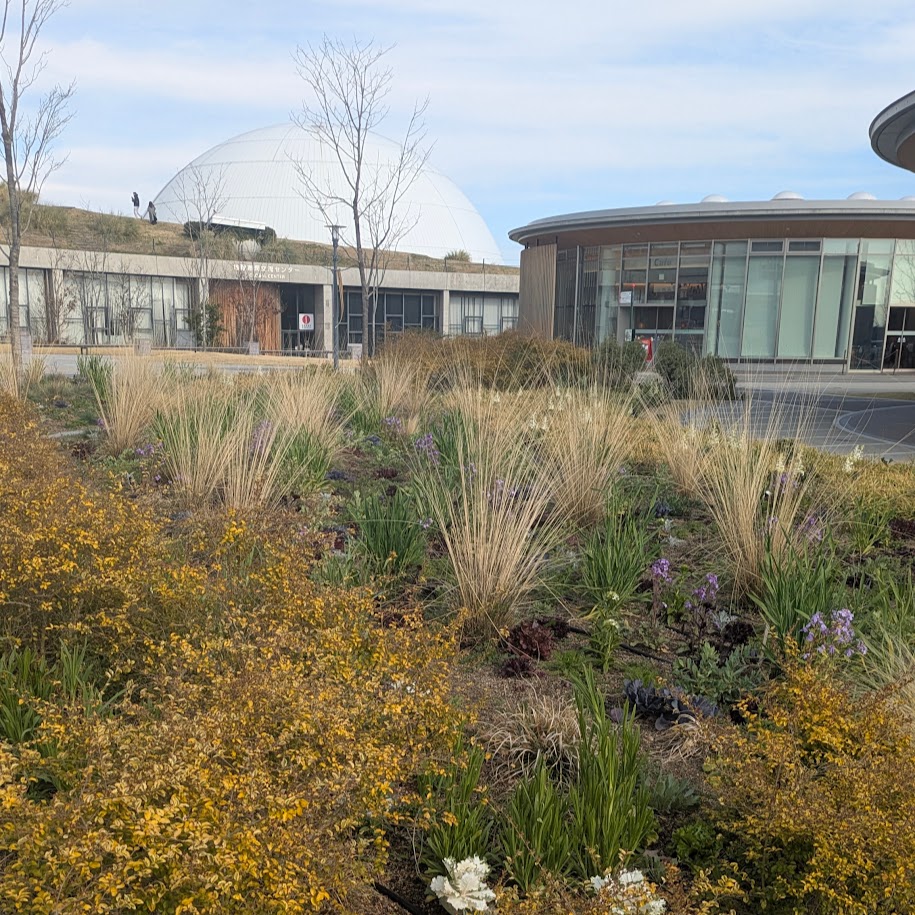 ジブリパーク モリコロパーク お出かけ部