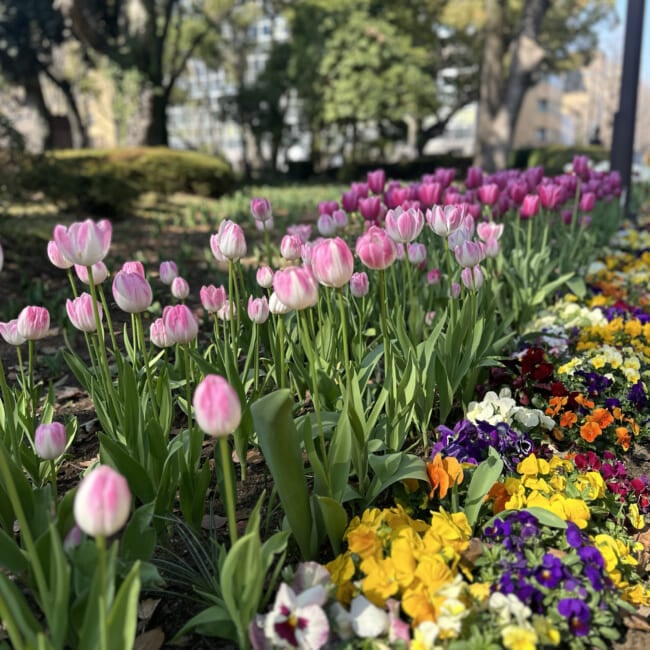ガーデンネックレス横浜