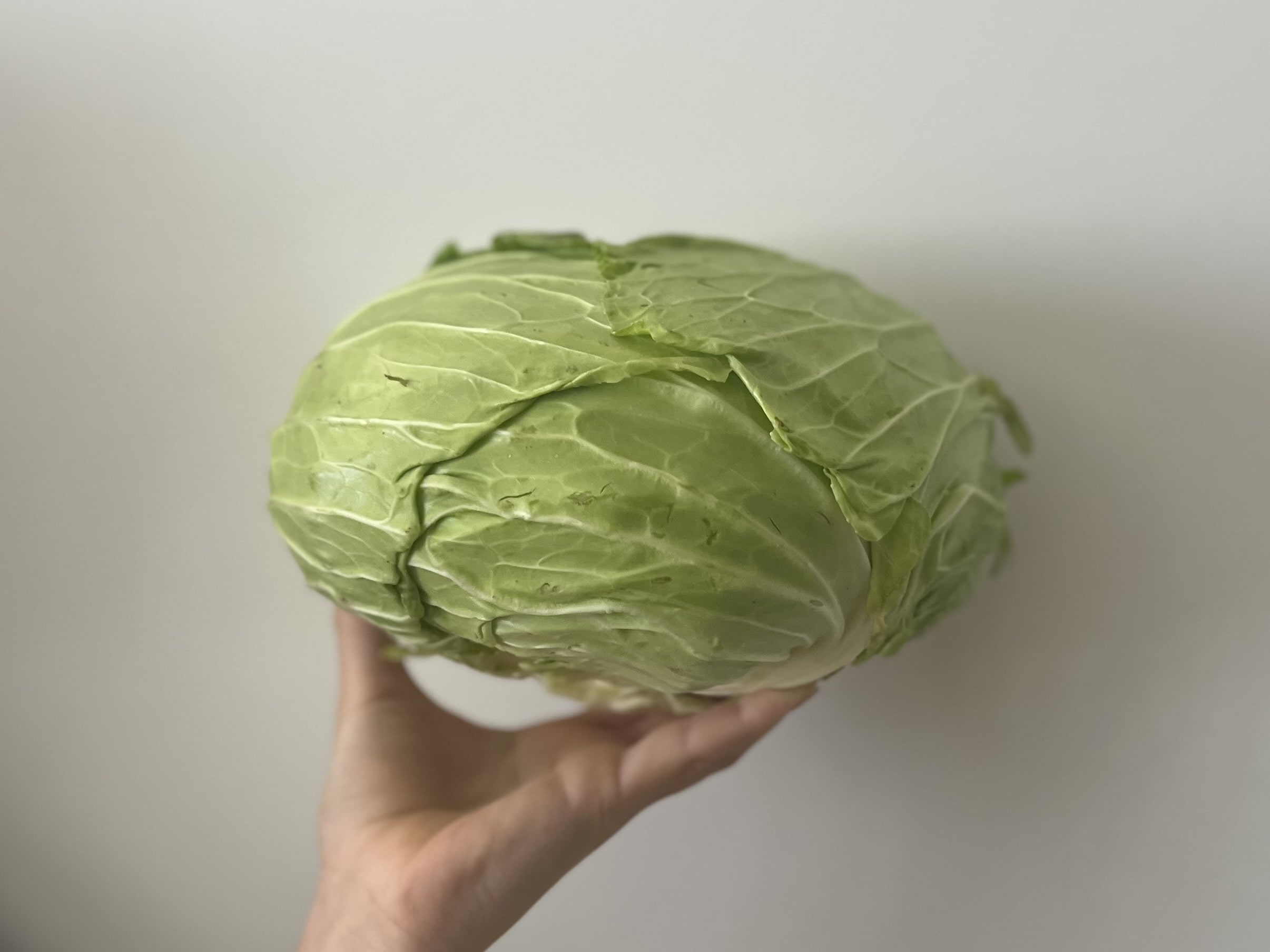 【LEEレシピ】なかしましほさんの「キャベツ焼き」簡単＆節約！春休みのおやつに TB icoco