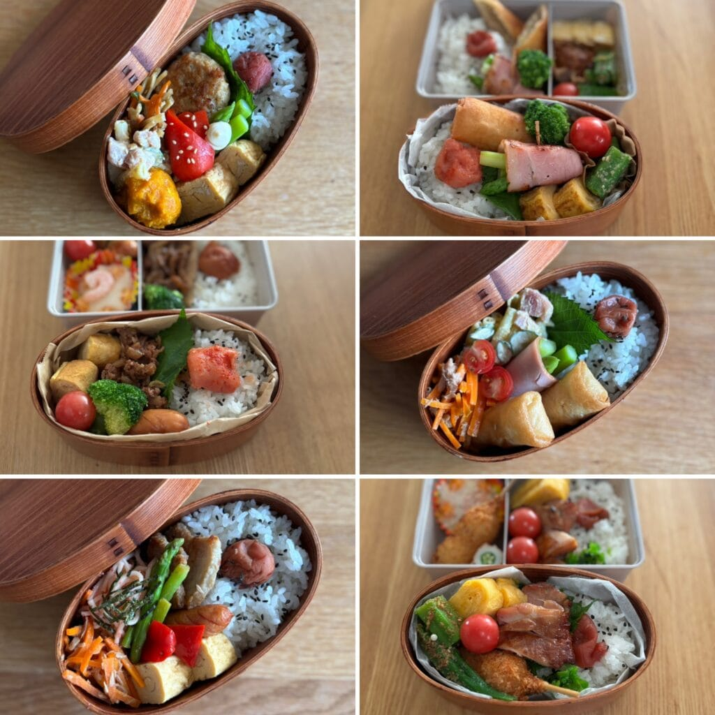 「曲げわっぱ弁当箱」　コデマリさん作のお弁当集合