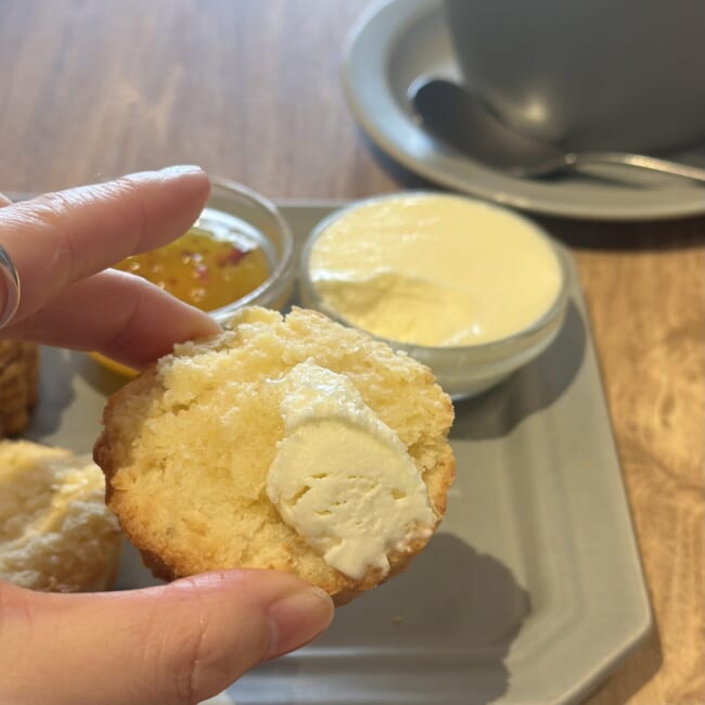 【東京・表参道】カフェCHAVATY(チャバティ)