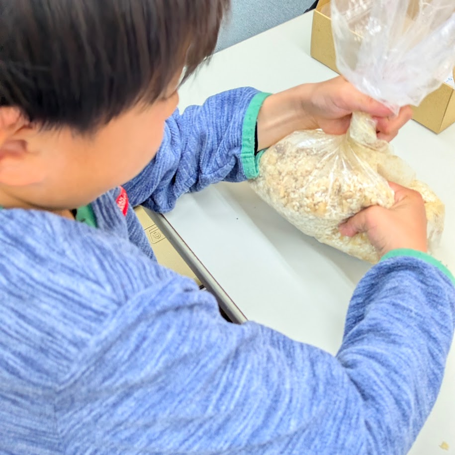 材料をまぜるだけ　味噌つくり　小学生