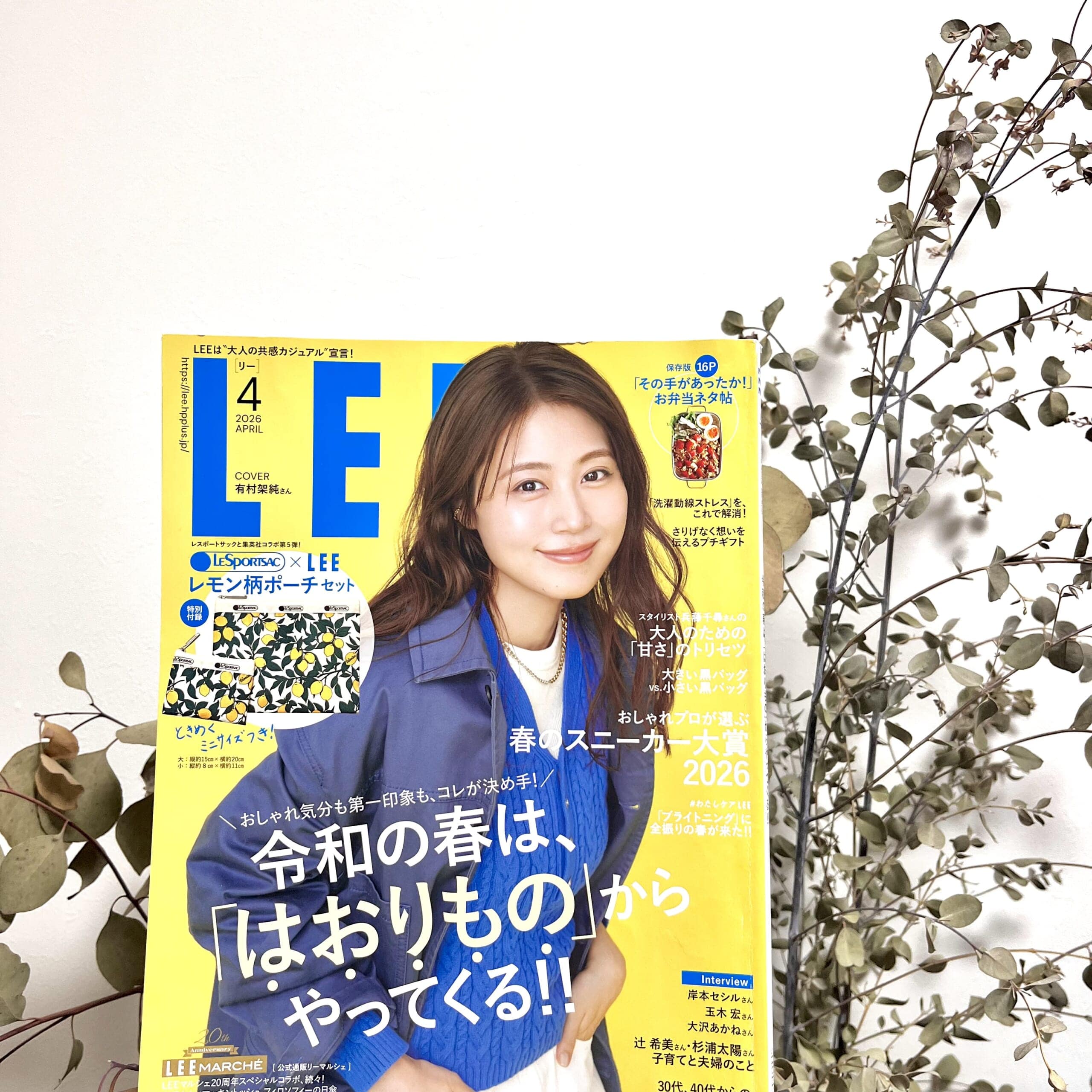 雑誌