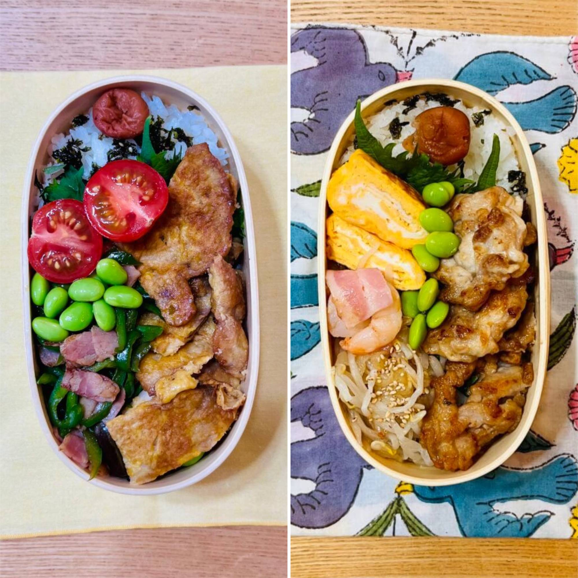 MARINAさん作の曲げわっぱ弁当集合