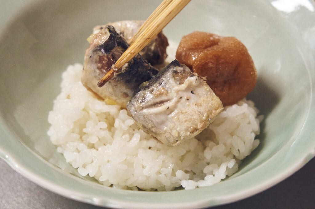 今井真実さん　おとなのためのイワシ茶漬け