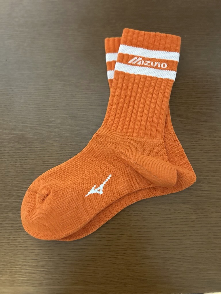 【ミズノ直営限定】ドライベクター薄手パイルレギュラーソックス ロゴ＋ライン