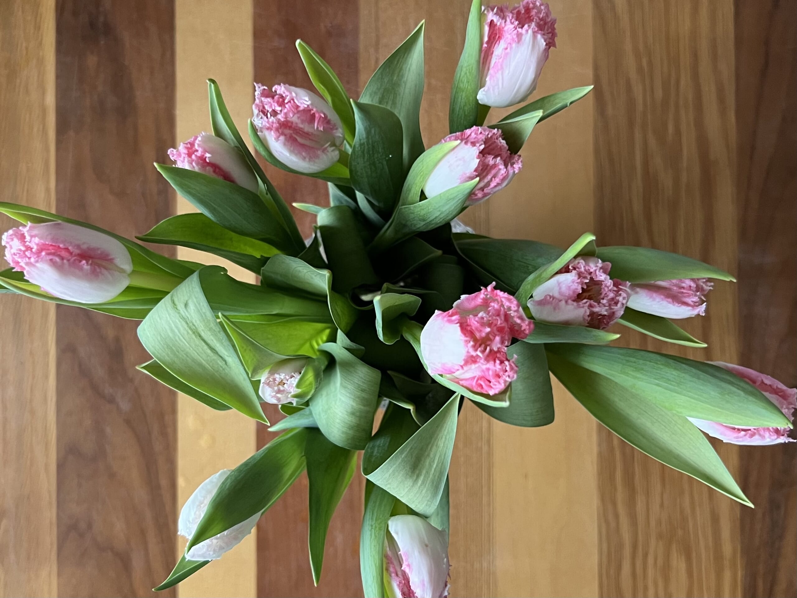 【コストコ購入品】今回の当たり&リピ確アイテム TB icoco